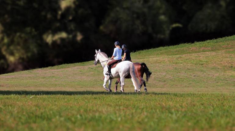 Gite a cavallo a Campo nell'Elba